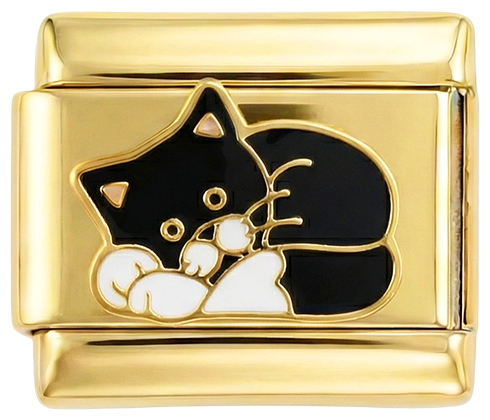 Black & White Cat Laying Down on Gold - black-white-cat-laying-down-on-gold.png